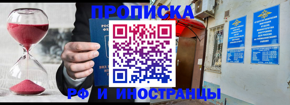 прописка 2025 в Щёкино